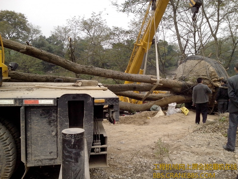 IMG20121208005.jpg