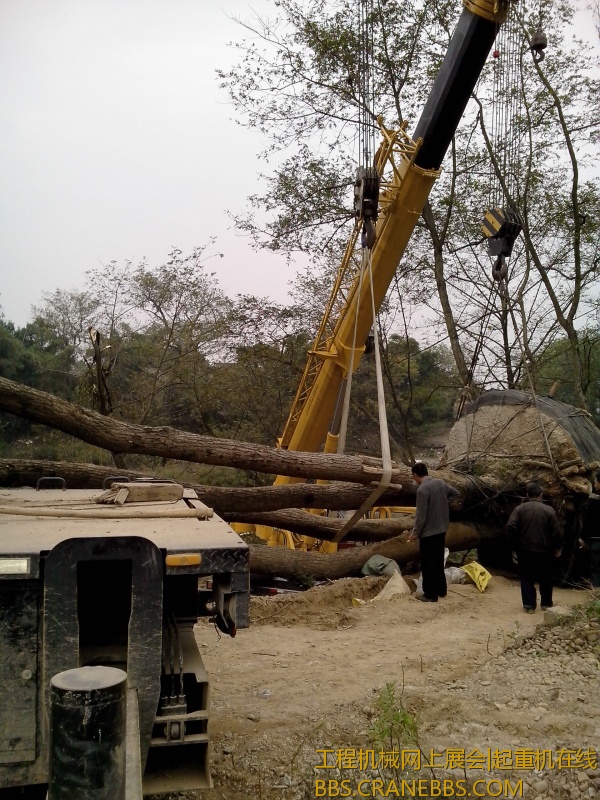 IMG20121208006.jpg