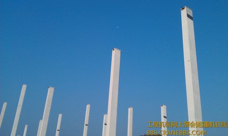 IMAG0463.jpg