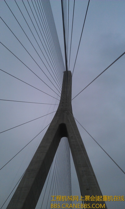 IMAG0568.jpg