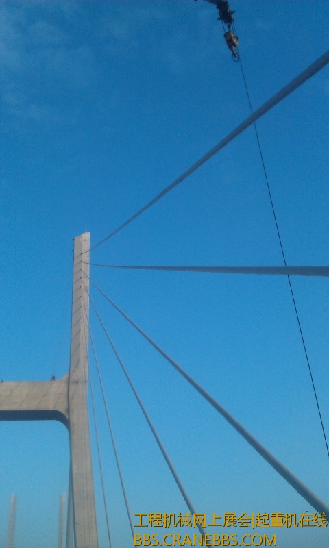 IMAG0843.jpg