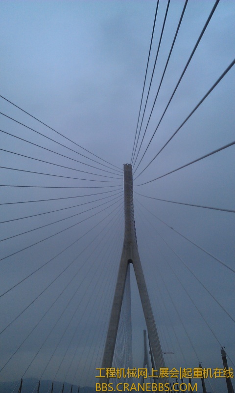 IMAG0559.jpg