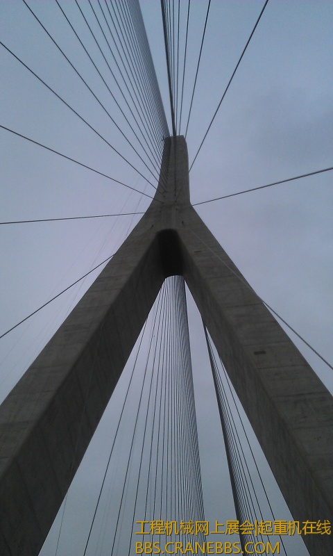 IMAG0569.jpg