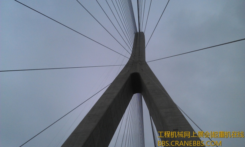 IMAG0570.jpg