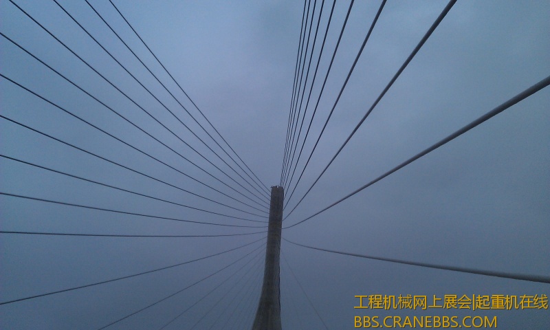 IMAG0560.jpg