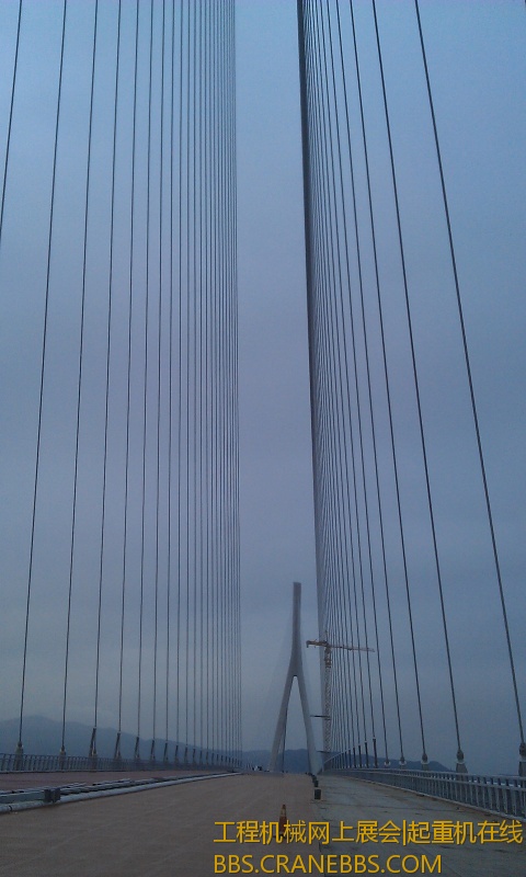 IMAG0576.jpg