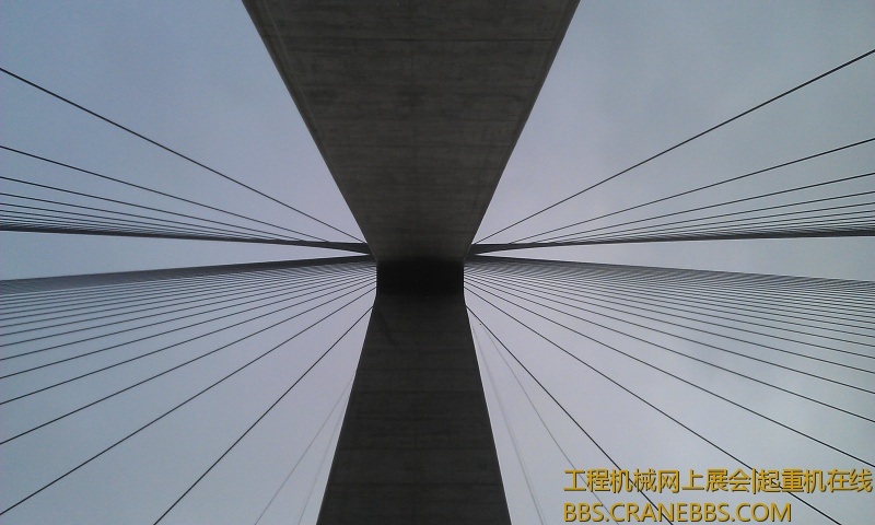 IMAG0578.jpg