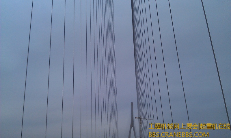 IMAG0577.jpg