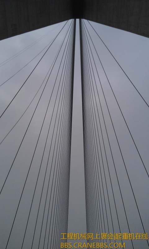 IMAG0592.jpg