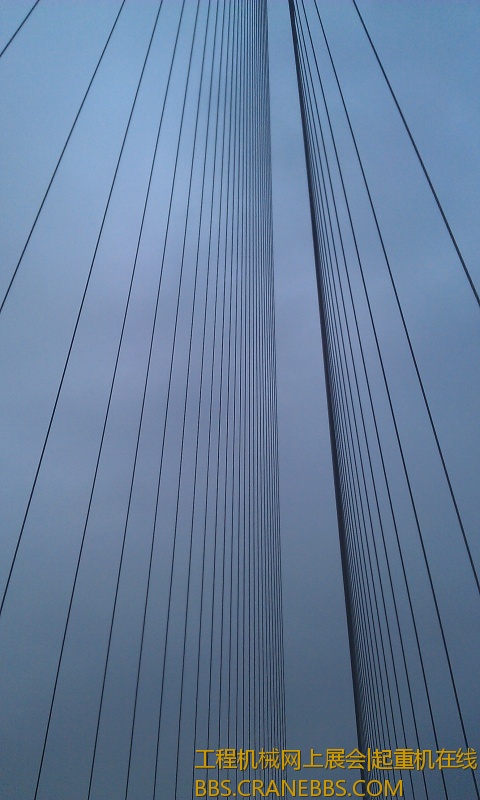 IMAG0575.jpg