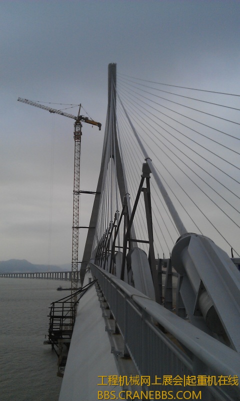 IMAG0614.jpg