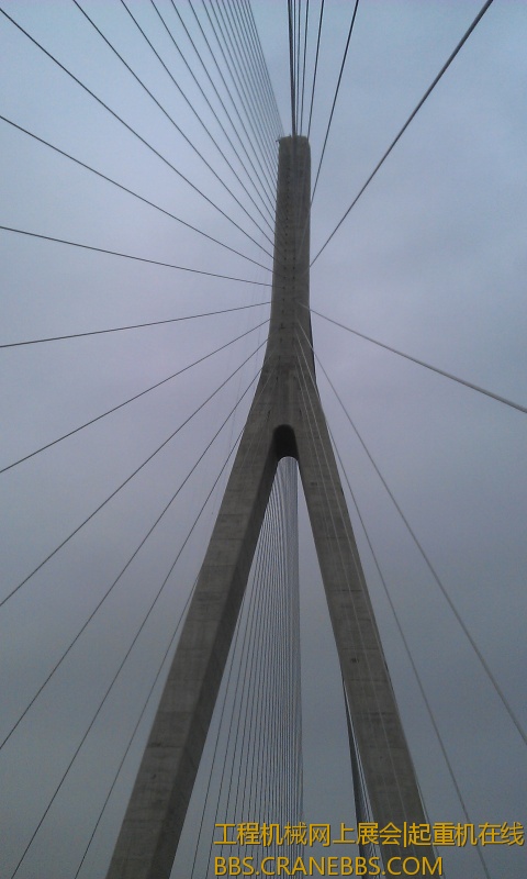 IMAG0566.jpg
