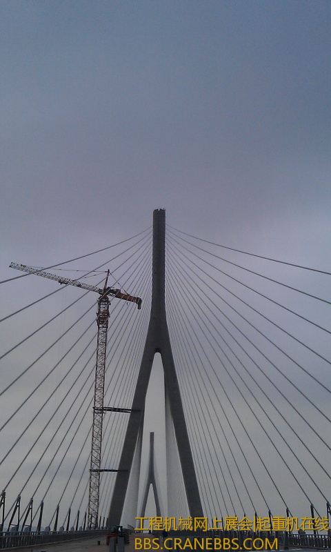 IMAG0607.jpg