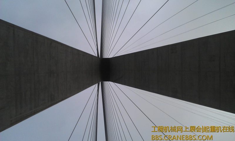 IMAG0580.jpg