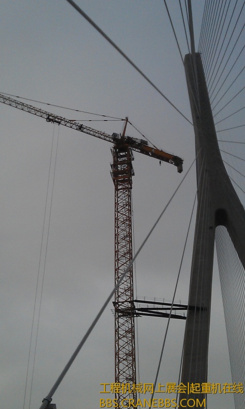 IMAG0604.jpg