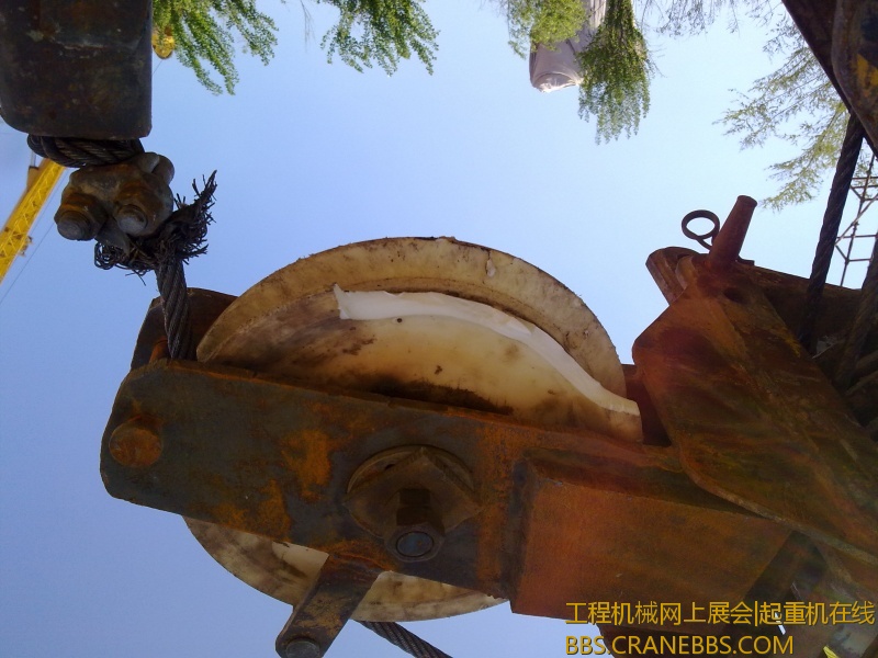 20120504676.jpg