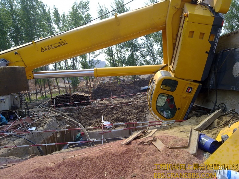 20120508720.jpg