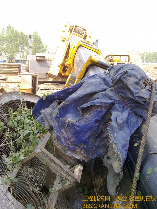 20120508718.jpg
