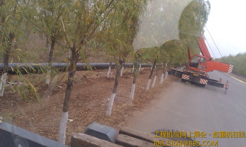 IMAG0037.jpg