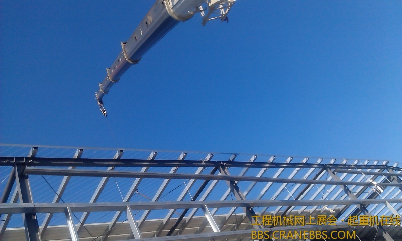 IMAG0122.jpg