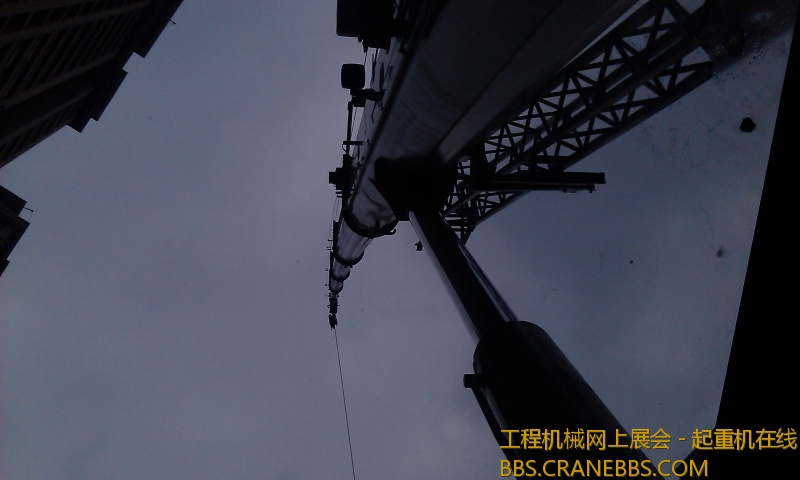 IMAG0172.jpg