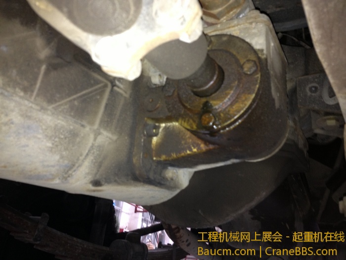 nEO_IMG_毛毛 314.jpg