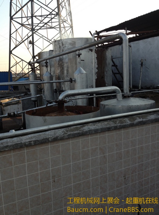 nEO_IMG_毛毛 418.jpg