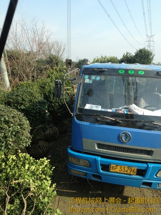 nEO_IMG_毛毛 435.jpg