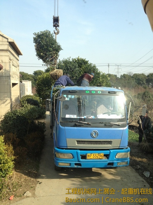 nEO_IMG_毛毛 436.jpg