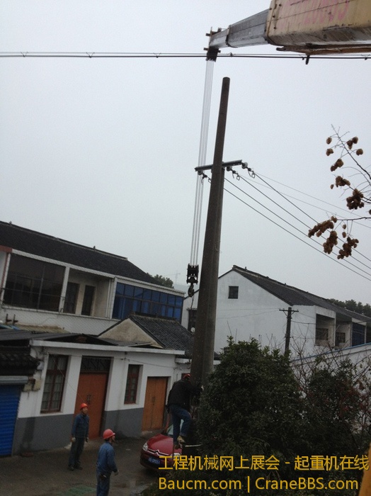 nEO_IMG_毛毛 335.jpg