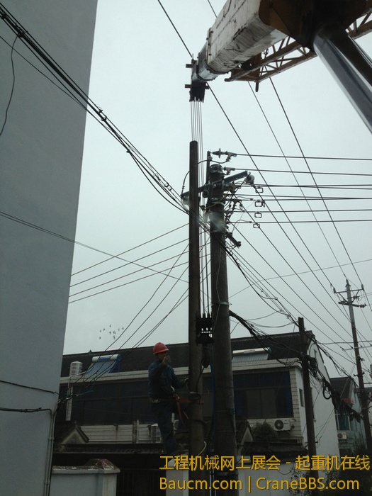 nEO_IMG_毛毛 337.jpg