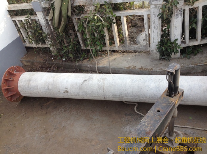 nEO_IMG_毛毛 383.jpg