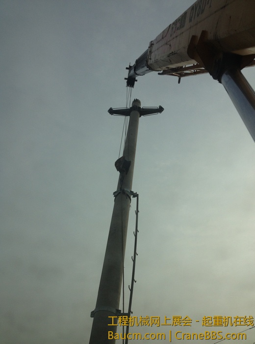 nEO_IMG_毛毛 384.jpg