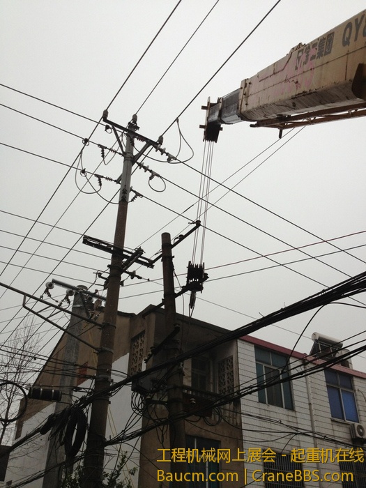 nEO_IMG_毛毛 341.jpg