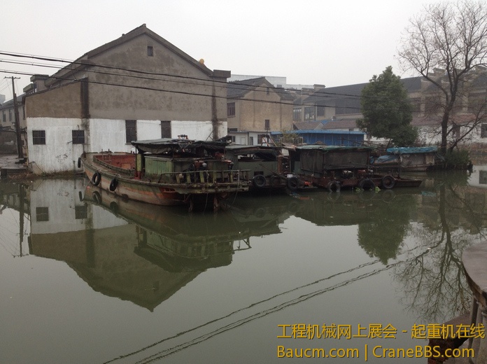 nEO_IMG_毛毛 343.jpg