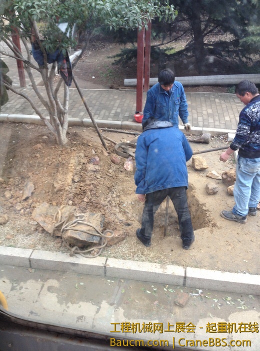 nEO_IMG_毛毛 371.jpg