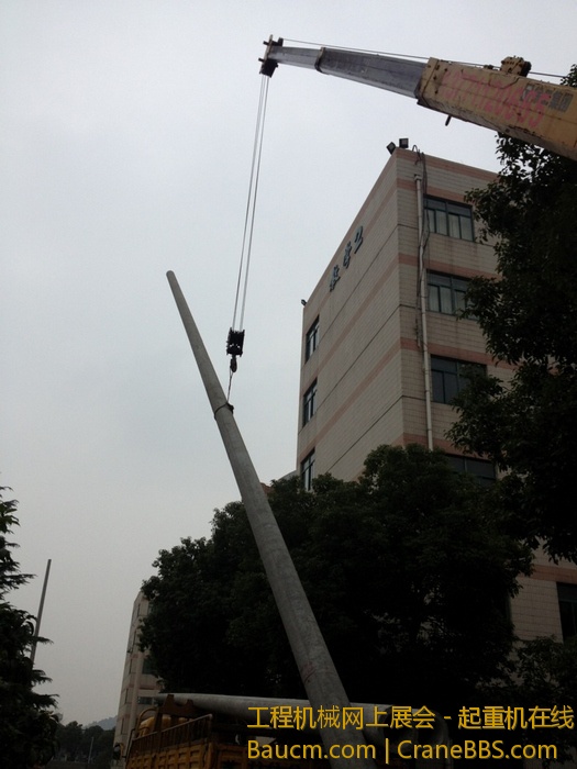 nEO_IMG_毛毛 374.jpg