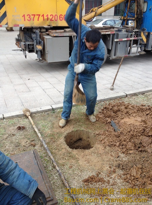 nEO_IMG_毛毛 365.jpg