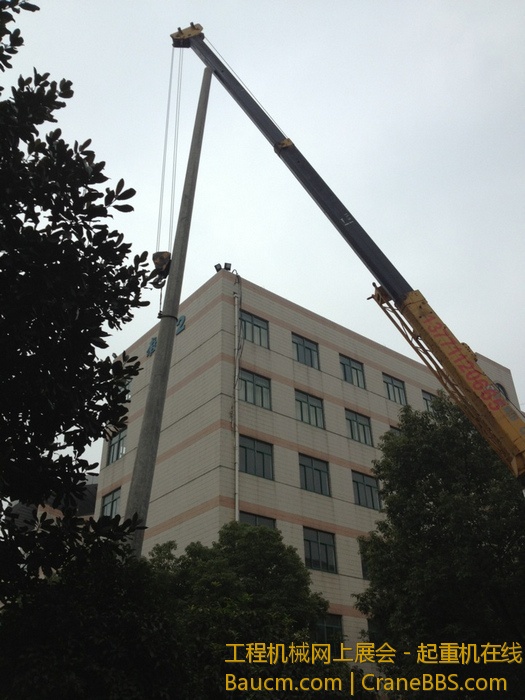 nEO_IMG_毛毛 375.jpg