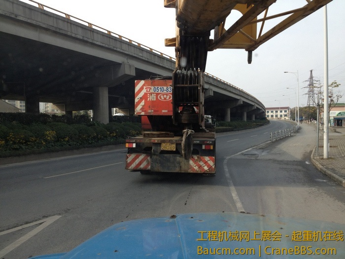 nEO_IMG_毛毛 388.jpg