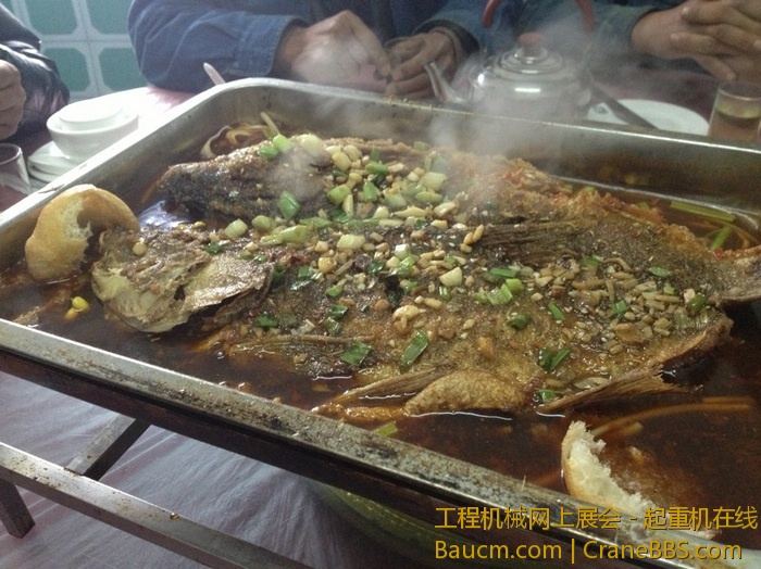 nEO_IMG_毛毛 447.jpg