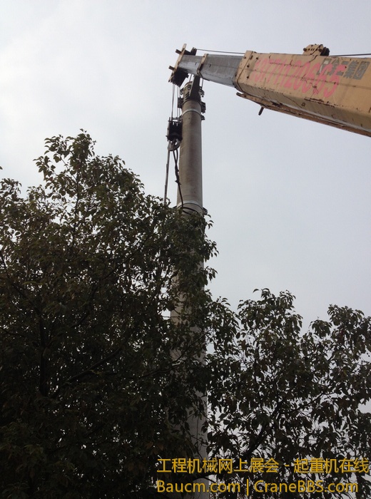 nEO_IMG_毛毛 396.jpg