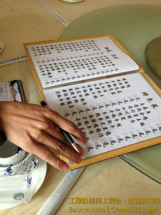 nEO_IMG_毛毛 397.jpg