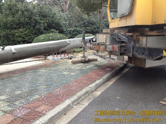 nEO_IMG_毛毛 452.jpg