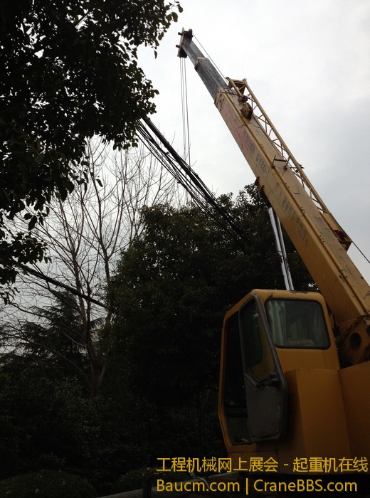 nEO_IMG_毛毛 453.jpg