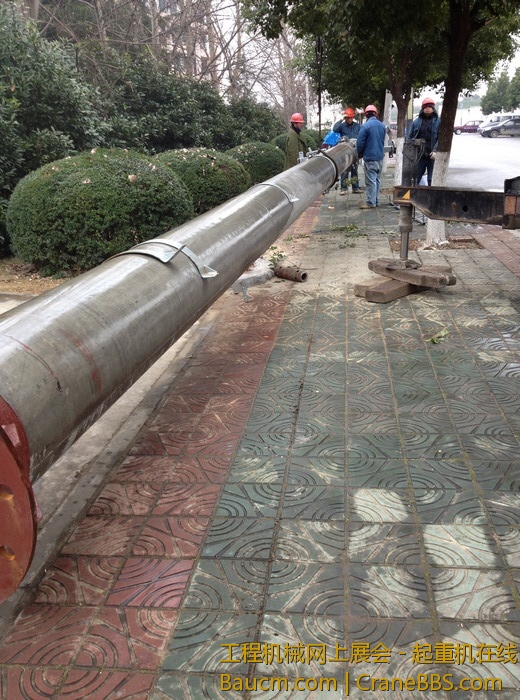 nEO_IMG_毛毛 454.jpg