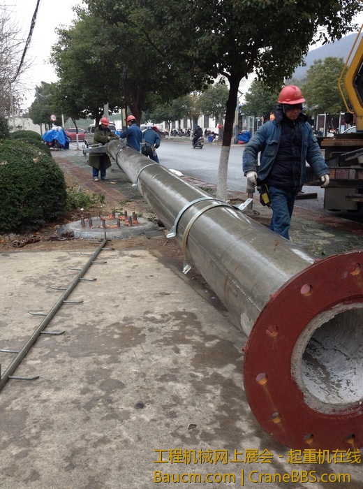 nEO_IMG_毛毛 455.jpg