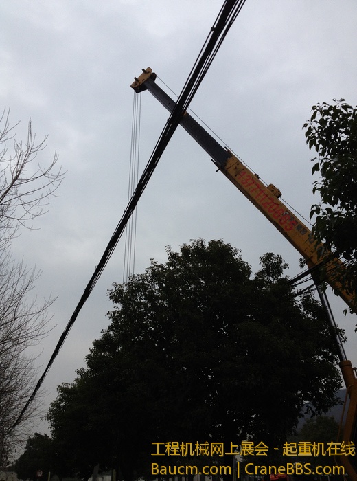 nEO_IMG_毛毛 456.jpg