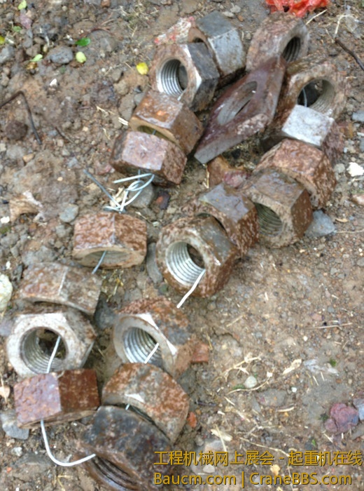 nEO_IMG_毛毛 457.jpg