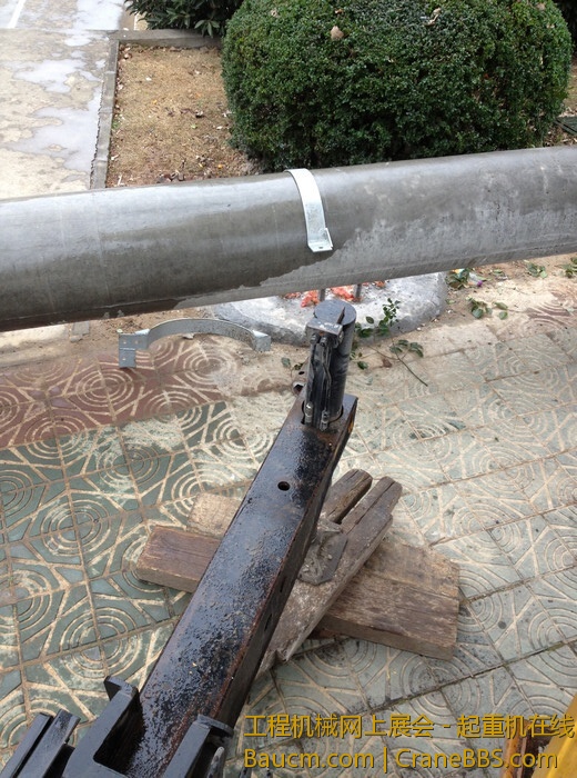 nEO_IMG_毛毛 451.jpg